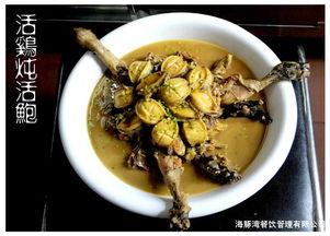 江蘇海豚灣餐飲管理 打造餐飲品牌運營新標桿